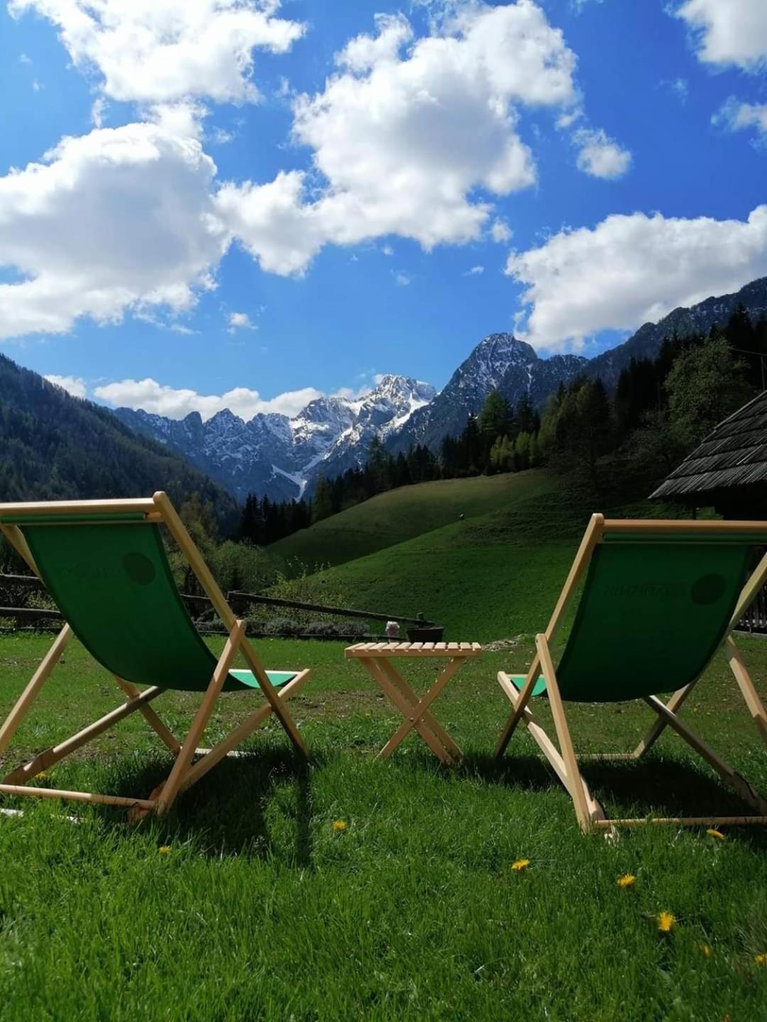 Tourist Farm Gradisnik Apartment Solcava Bagian luar foto
