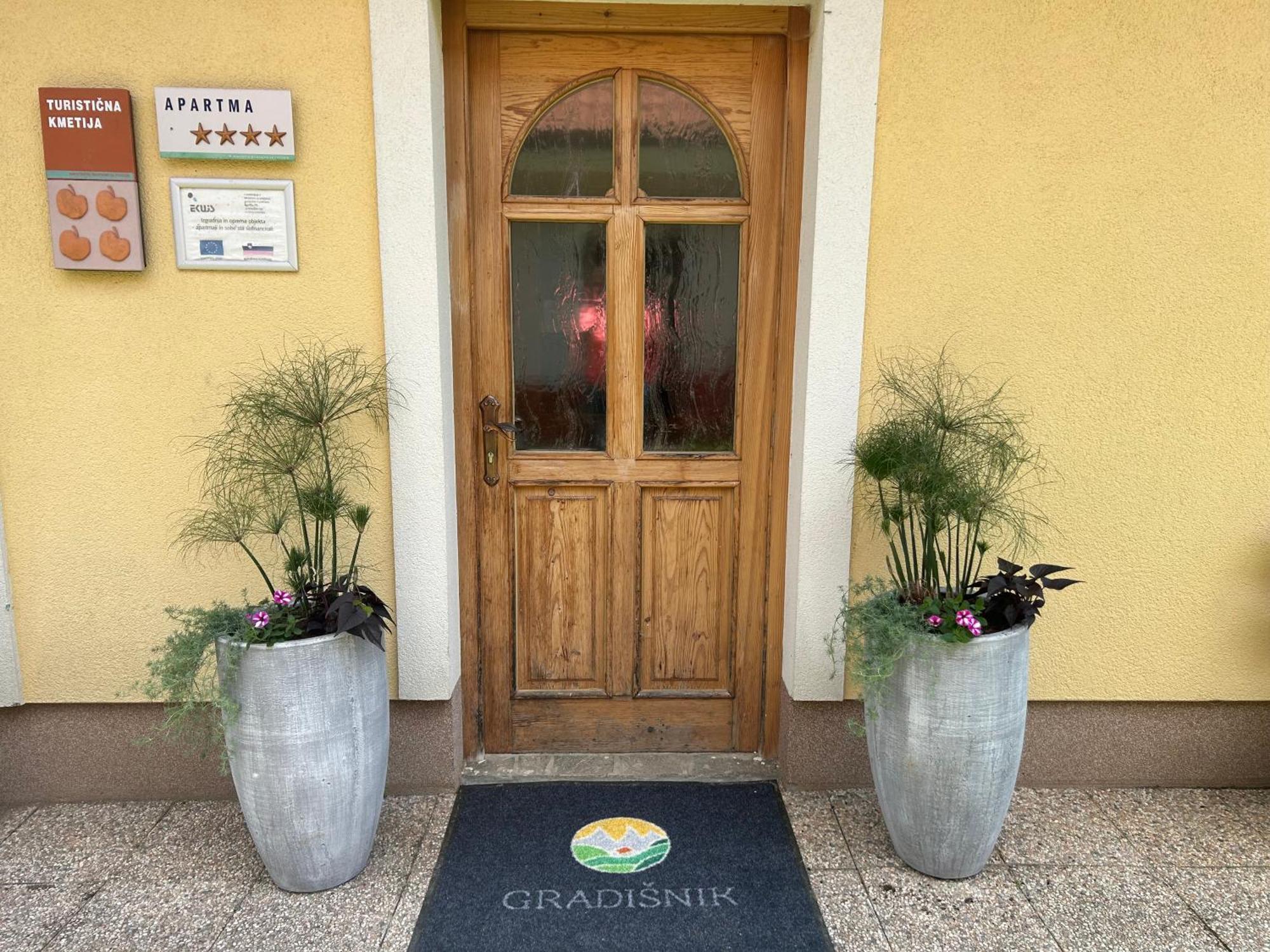 Tourist Farm Gradisnik Apartment Solcava Bagian luar foto