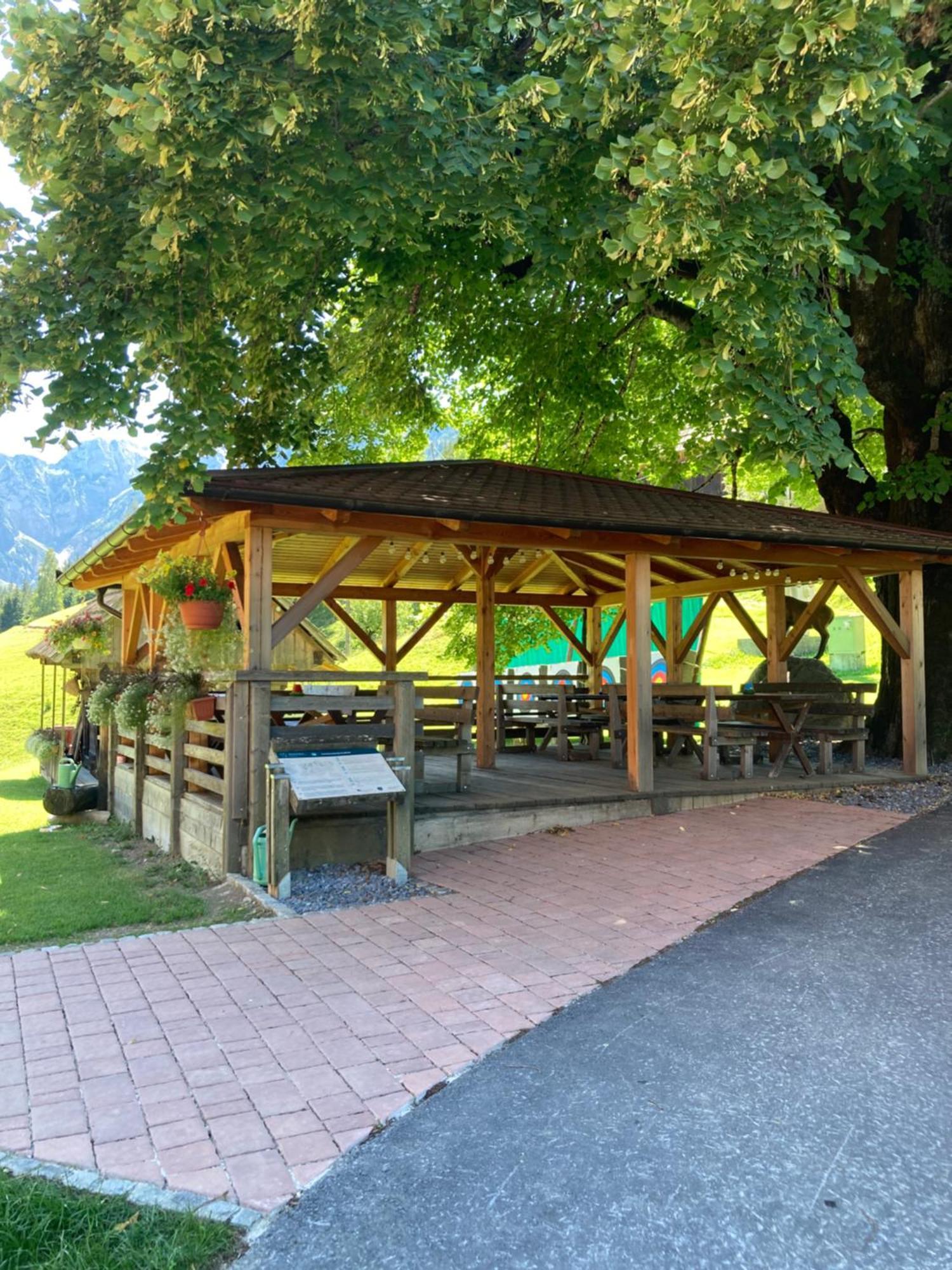 Tourist Farm Gradisnik Apartment Solcava Bagian luar foto