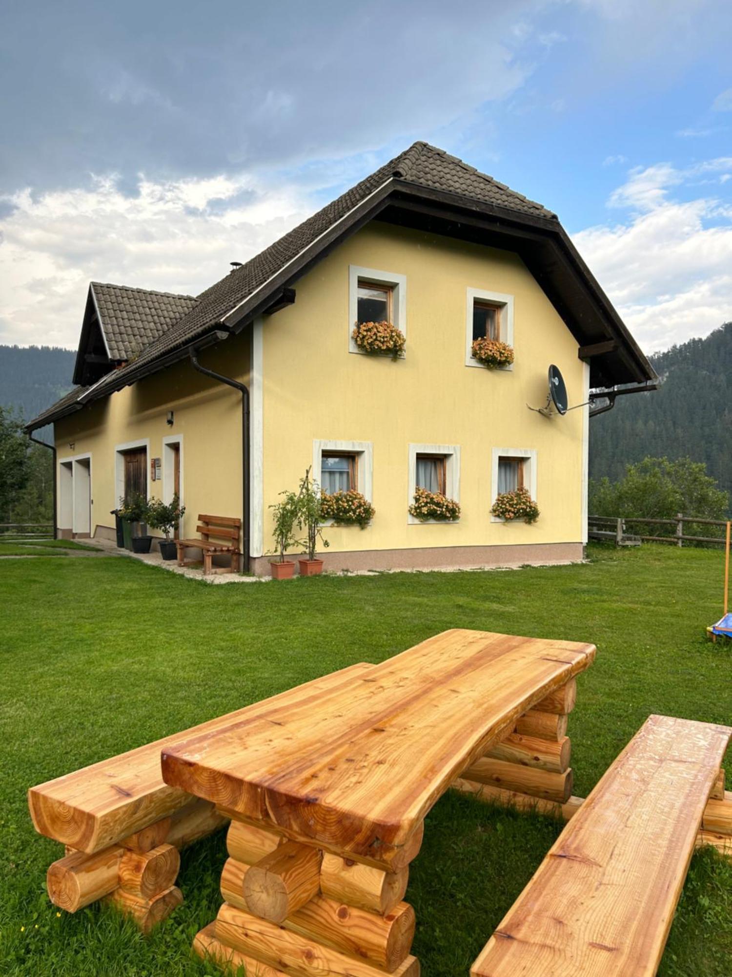Tourist Farm Gradisnik Apartment Solcava Bagian luar foto
