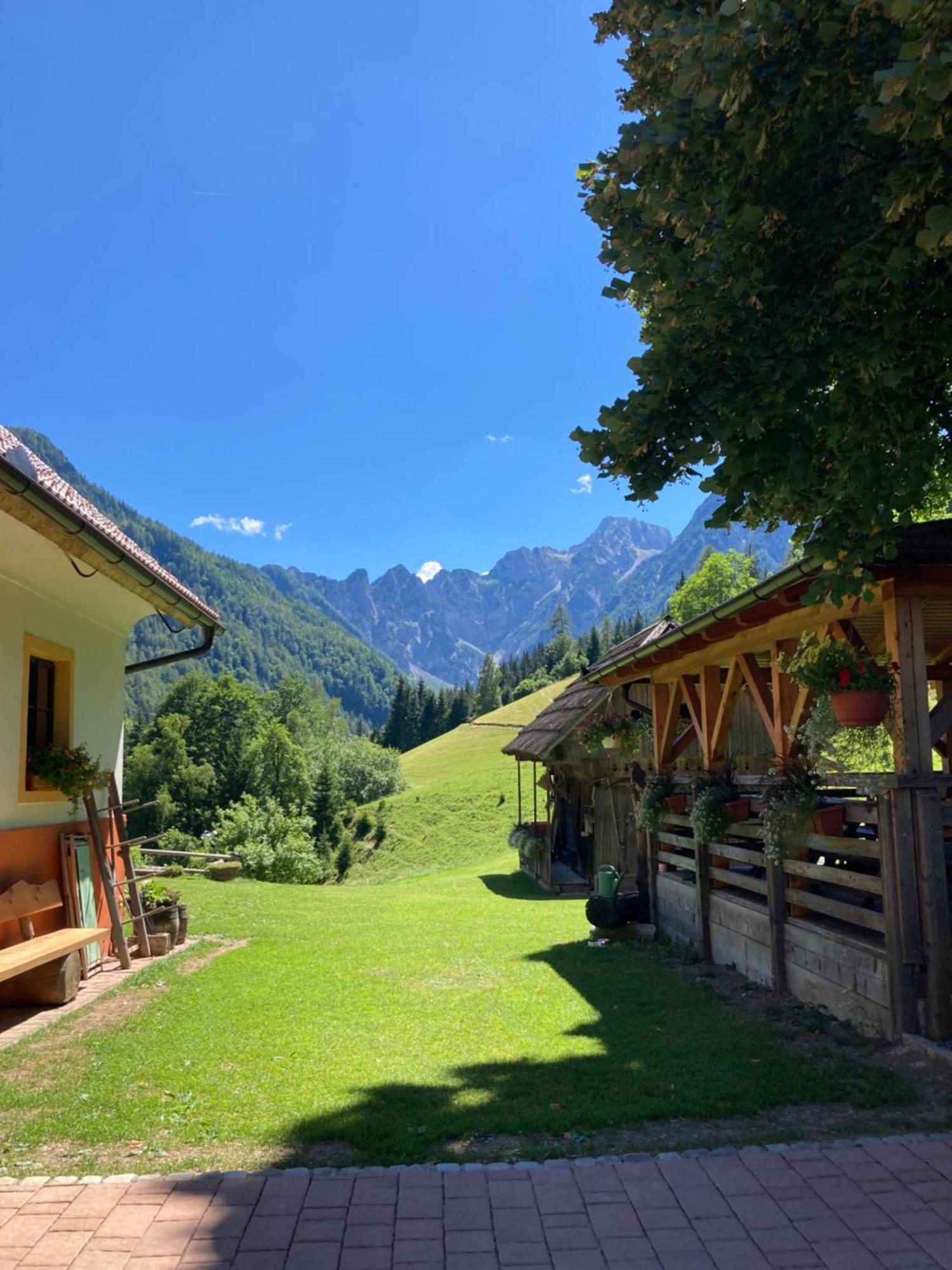 Tourist Farm Gradisnik Apartment Solcava Bagian luar foto