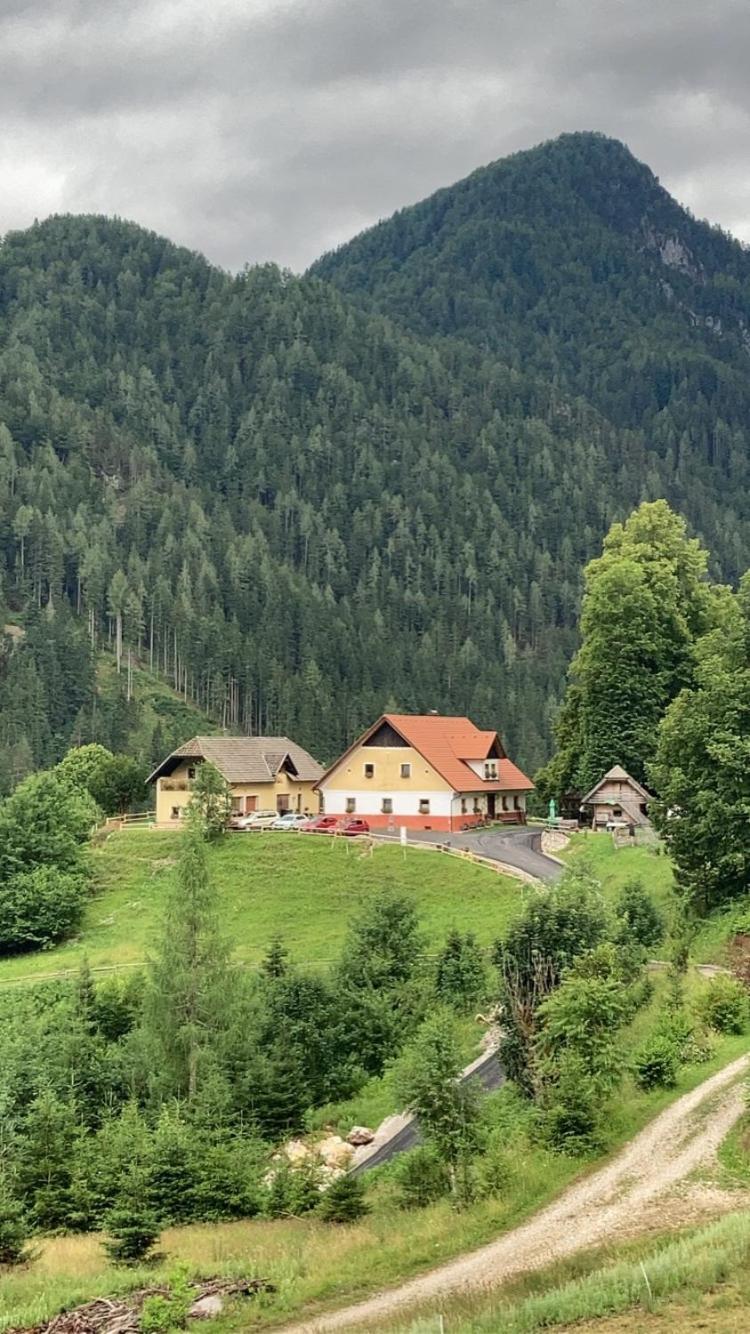 Tourist Farm Gradisnik Apartment Solcava Bagian luar foto