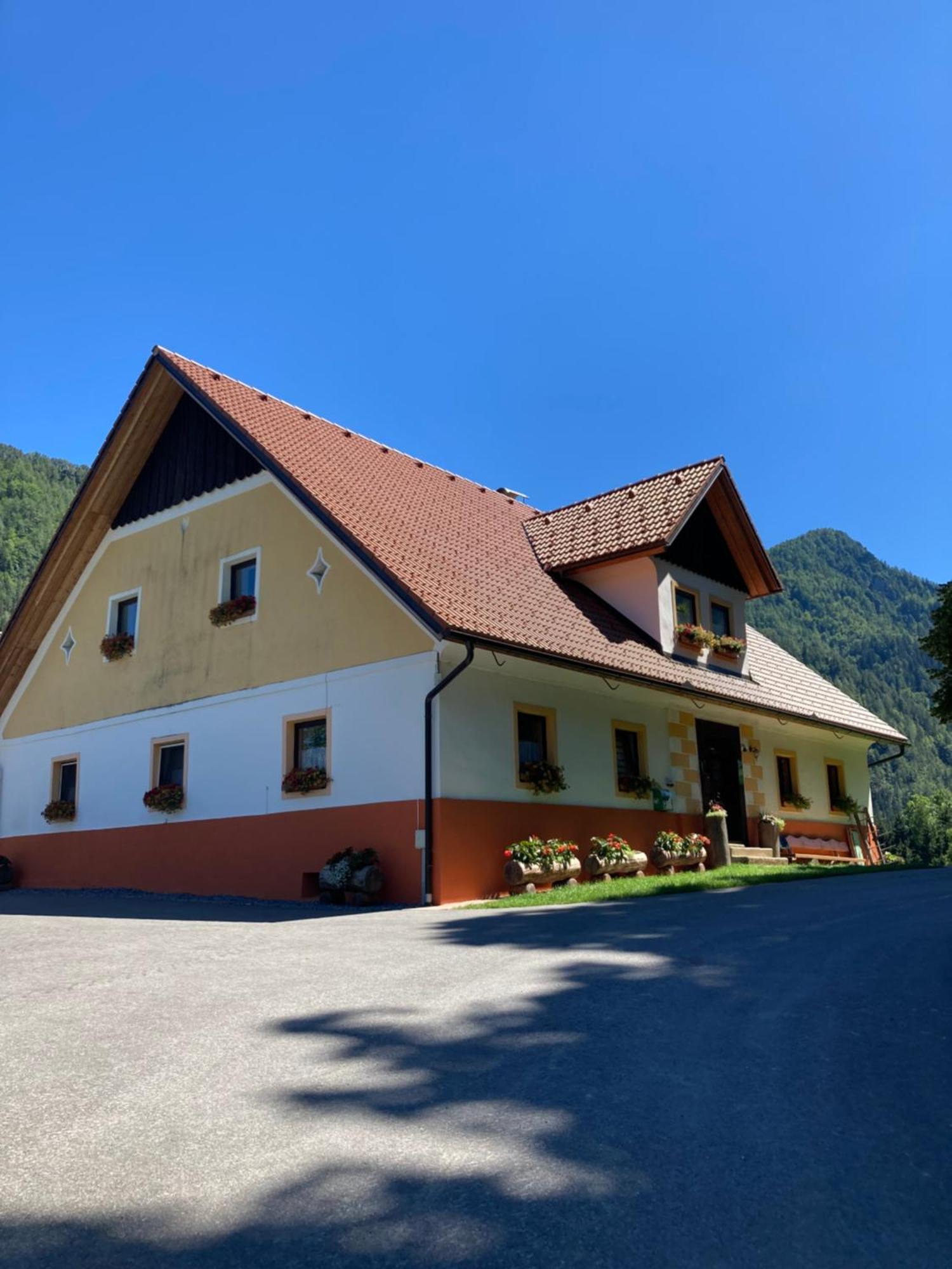 Tourist Farm Gradisnik Apartment Solcava Bagian luar foto