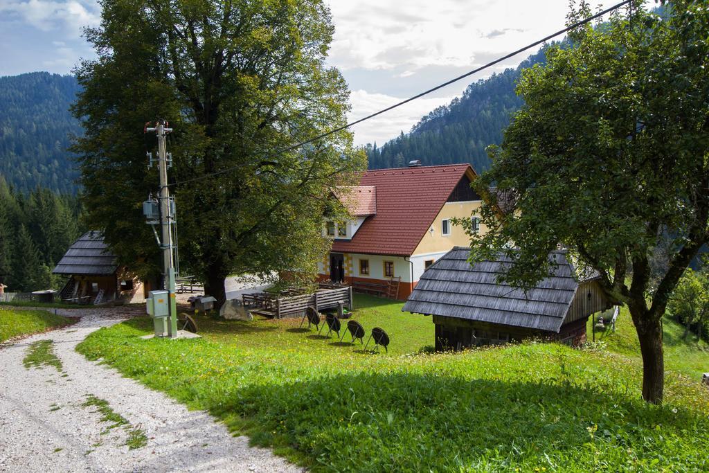 Tourist Farm Gradisnik Apartment Solcava Bagian luar foto
