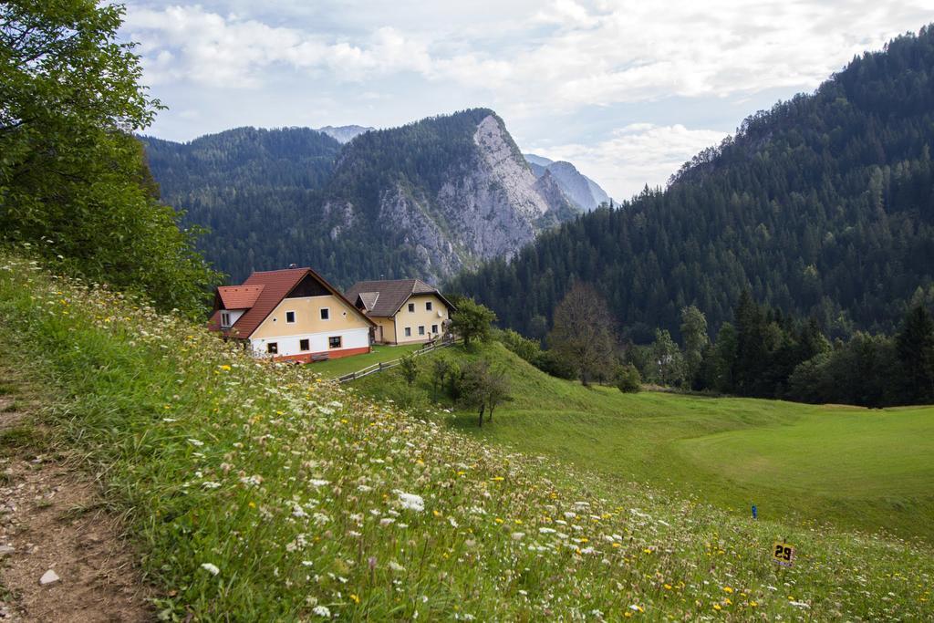 Tourist Farm Gradisnik Apartment Solcava Bagian luar foto