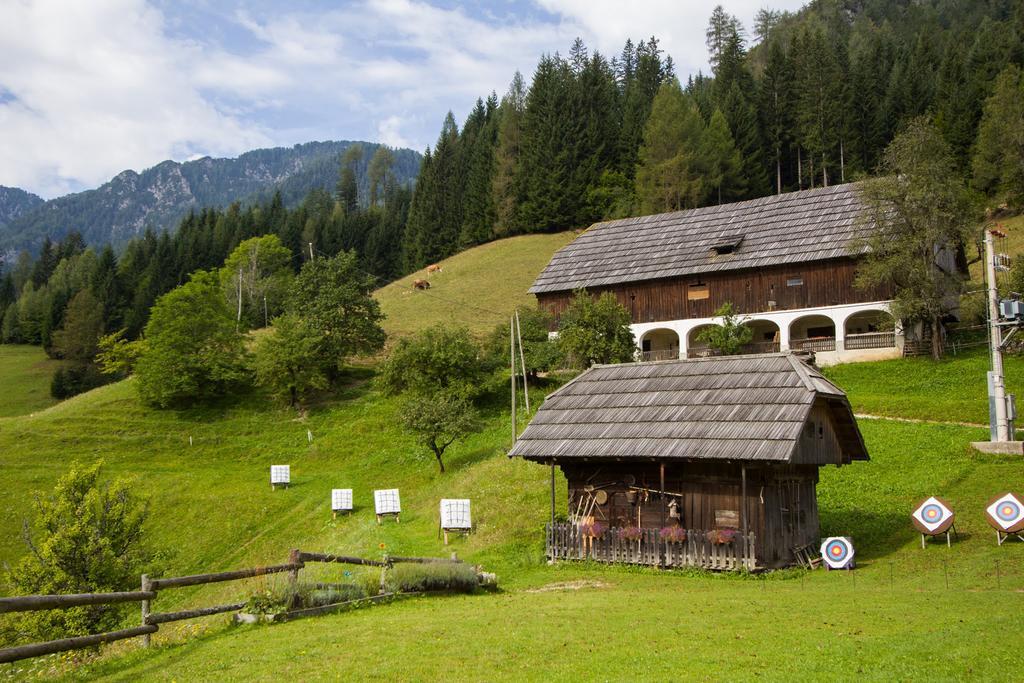 Tourist Farm Gradisnik Apartment Solcava Bagian luar foto