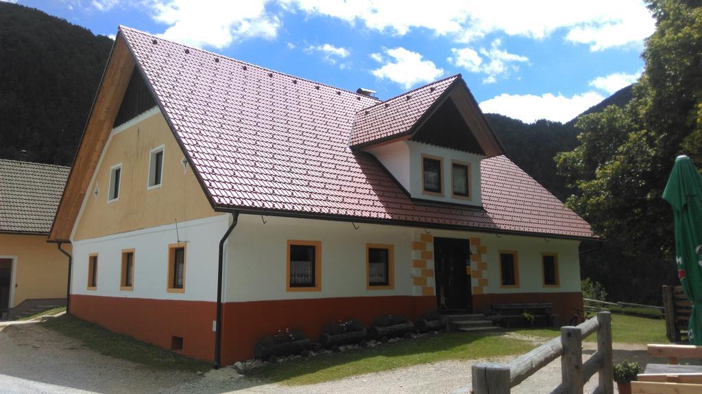 Tourist Farm Gradisnik Apartment Solcava Bagian luar foto