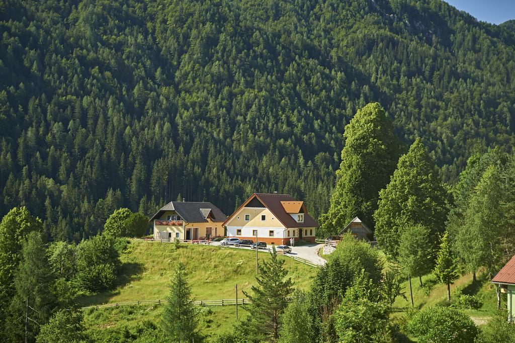 Tourist Farm Gradisnik Apartment Solcava Bagian luar foto