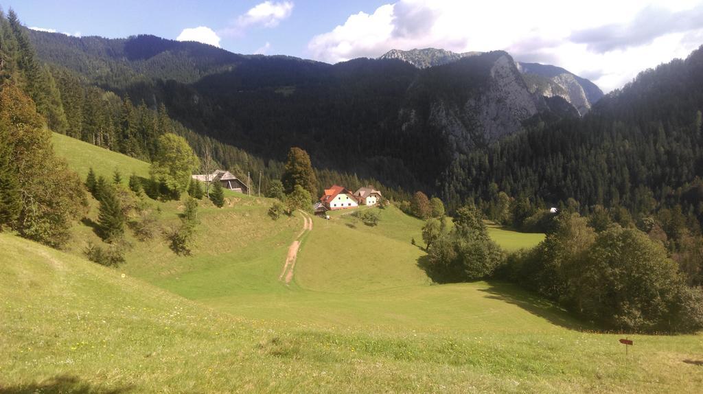 Tourist Farm Gradisnik Apartment Solcava Bagian luar foto