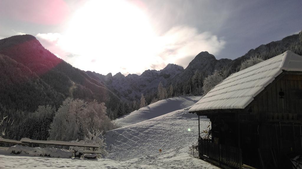 Tourist Farm Gradisnik Apartment Solcava Bagian luar foto