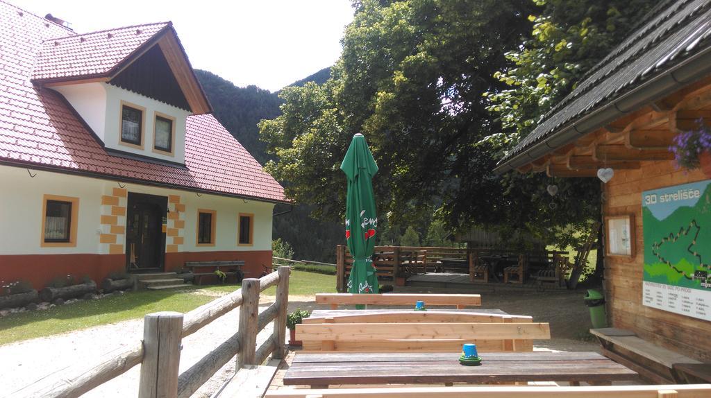 Tourist Farm Gradisnik Apartment Solcava Bagian luar foto