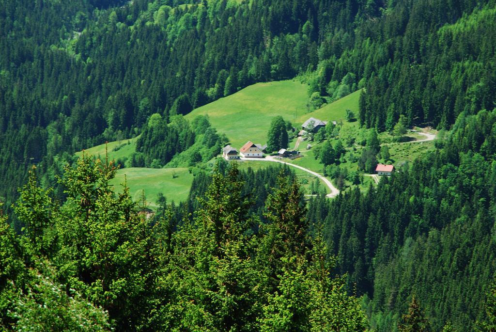 Tourist Farm Gradisnik Apartment Solcava Bagian luar foto